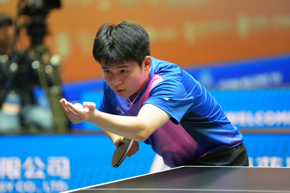 共同构成了 共同构成了